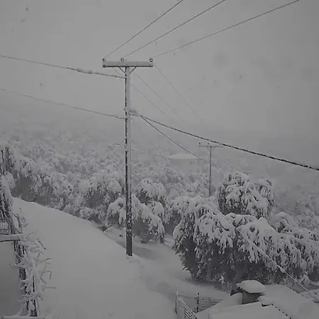 Chrysamare Luxury Living ολόκληρη *