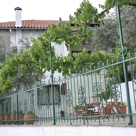 Chrysamare Luxury Living ολόκληρη