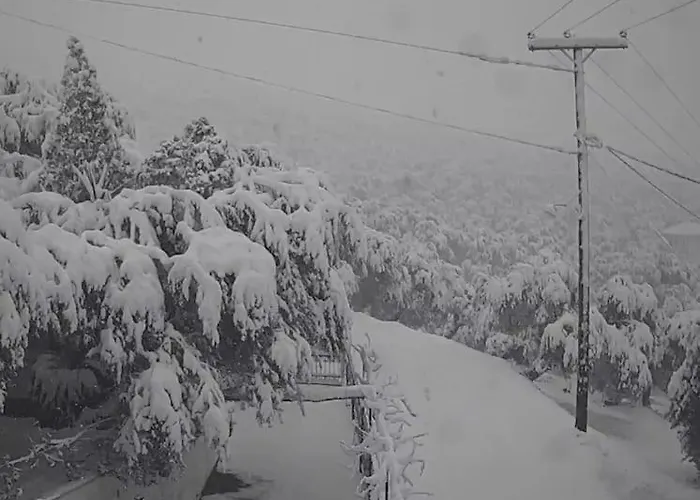 Chrysamare Luxury Living ολόκληρη * 费索斯