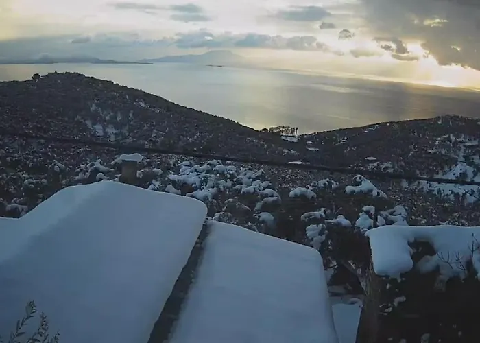 Chrysamare Luxury Living ολόκληρη *