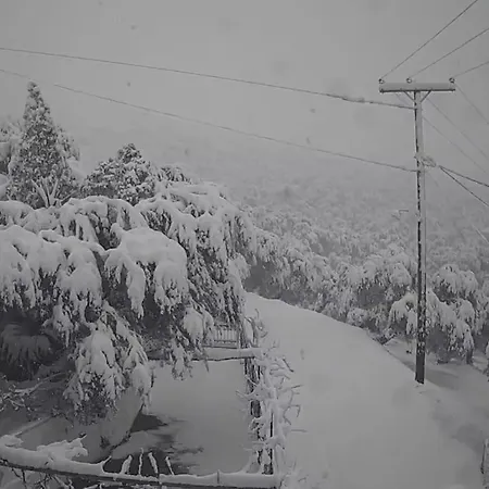 Chrysamare Luxury Living ολόκληρη * 费索斯