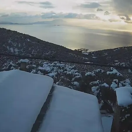 Chrysamare Luxury Living ολόκληρη *