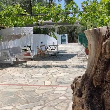 アパート Chrysamare Luxury Living ολόκληρη