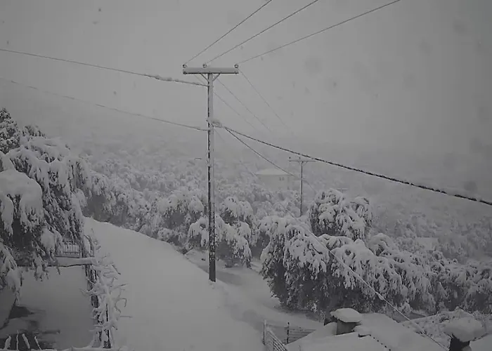 Chrysamare Luxury Living ολόκληρη *